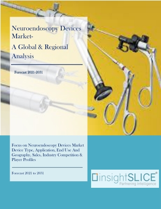 Neuroendoscopy Devices Market Promising Blooming Growth Opportunities to 2031