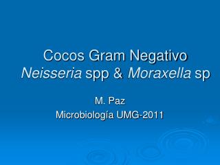 Cocos Gram Negativo Neisseria spp &amp; Moraxella sp