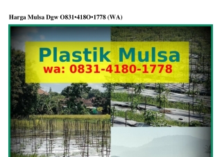 Harga Mulsa Dgw O83l-ㄐl8O-l778[WA]