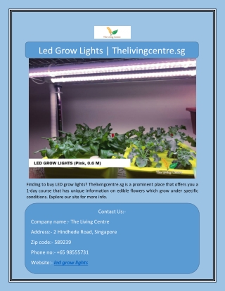 Led Grow Lights | Thelivingcentre.sg