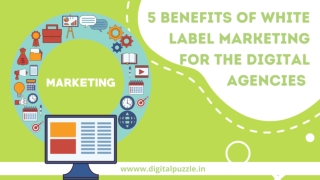 5 Benefits of White Label Marketing for the Digital Agencies