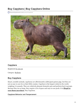 Capybara