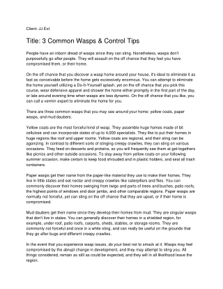 3 Common Wasps & Control Tips_ JJ Ext-converted