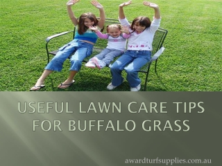 Useful Lawn Care Tips For Buffalo Grass