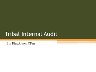 Internal Audit Services Provider – BlueArrow CPAs