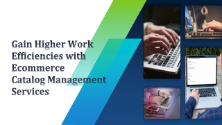 Gain Higher Work Efficiencies with Ecommerce Catalog Management Services