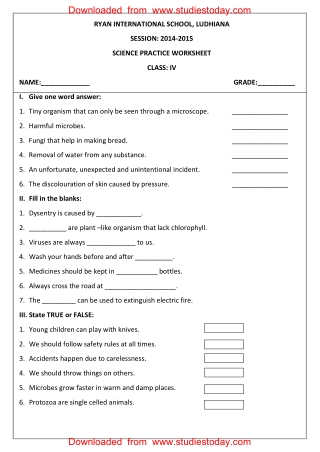 Worksheets For Class 4 Science with Practice papers