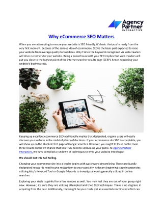 Why eCommerce SEO Matters