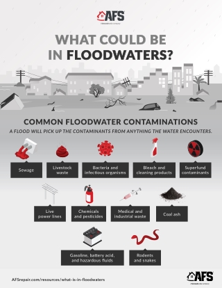 WHAT COULD BE IN FLOODWATERS?