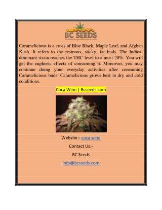 Coca Wine Bcseeds.com
