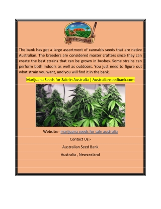 Marijuana Seeds for Sale in Australia  Australianseedbank.com