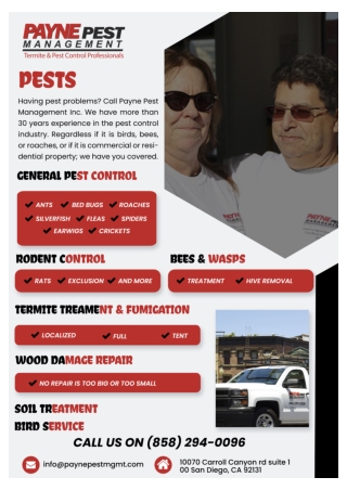 Termite Control San diego | Bee Removal San diego