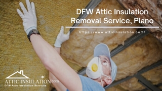 DFW Attic Insulation Removal Service Plano
