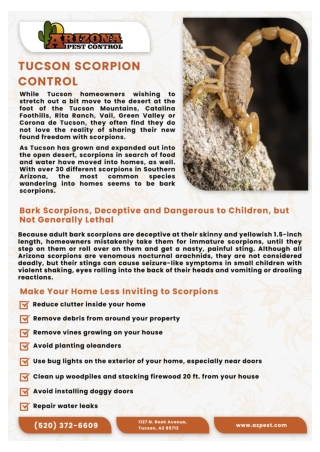 Scorpion Removal tucson | Tucson Scorpion Exterminator