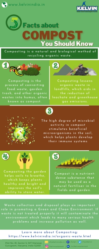 5 Facts about Compost You Should Know