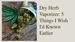 Dry Herb  Vaporizer: 5  Things I Wish  I'd Known  Earlier