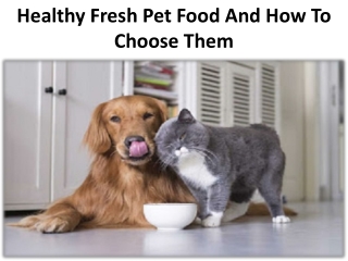 Healthy Fresh Pet Food And How To Choose Them