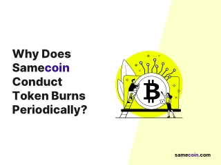 Why does Samecoin conduct wallet burns periodically
