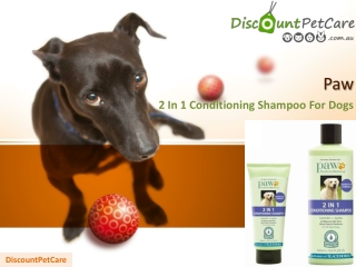 Buy Paw 2 In 1 Conditioning Shampoo For Dogs Online - DiscountPetCare