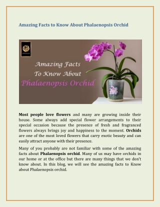 Amazing Facts to Learn About Phalaenopsis Orchid