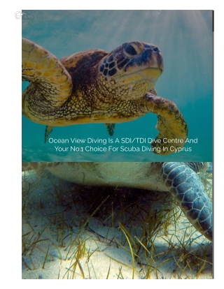 Choose the best open water scuba diving course