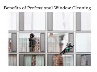 Residential Window Cleaning in Melbourne - A1 Window