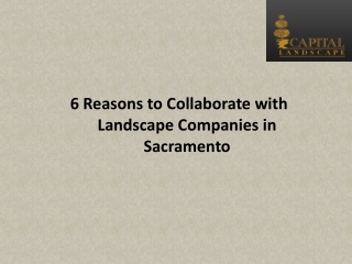 6 Reasons to Collaborate with Landscape Companies in Sacramento