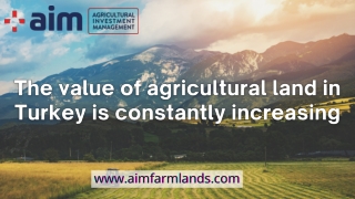 The value of agricultural land in Turkey is constantly increasing
