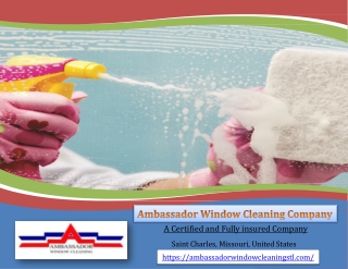 Why Choose Ambassador Window Cleaning