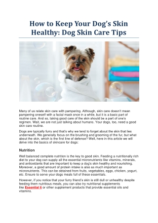 How To Keep Your Dog’s Skin Healthy: Dog Skin Care Tips|| CanadaVetExpress