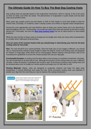 The Ultimate Guide On How To Buy The Best Dog Cooling Vests