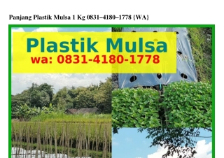 Panjang Plastik Mulsa 1 Kg Ô8౩1•418Ô•1778(whatsApp)