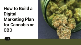 How to Build a Digital Marketing Plan for Cannabis or CBD