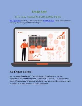MT5 Copy Trading And MT5 PAMM Plugin