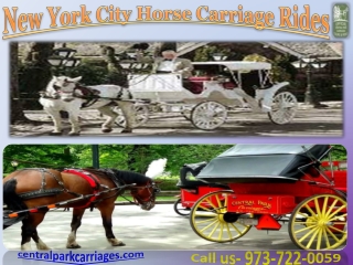 New York City Horse Carriage Rides