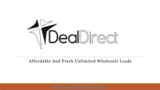 Affordable And Fresh Unlimited Wholesale Leads _ Internet Leads
