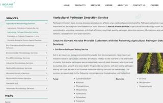 Seed Pathogen Testing