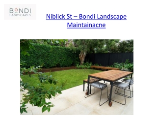 Niblick St – Bondi Landscape Maintainacne