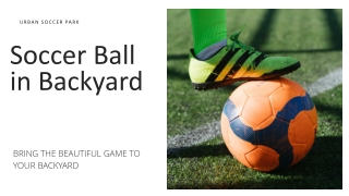 Soccer Ball in Backyard