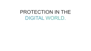 PROTECTION IN THE DIGITAL WORLD