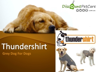 Buy Thundershirt Grey For Dogs Online - DiscountPetCare