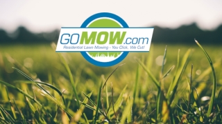 GET A FREE QUOTE for Next-Day Lawn Maintenance And Lawn Care Service In Richardson and Irving, Tx With Gomow