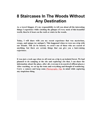 8 Staircases In The Woods Without Any Destination