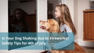 Safety Tips for 4th of July