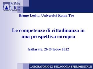 Bruno Losito, Università Roma Tre