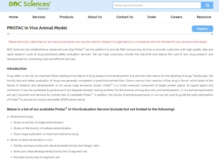 PROTAC In Vivo Animal Model