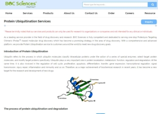 ubiquitin system