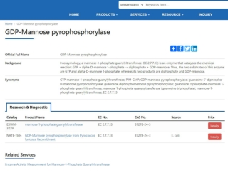 Geranylgeranyltransferase