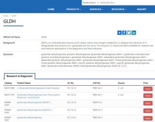 Glutamate Dehydrogenase