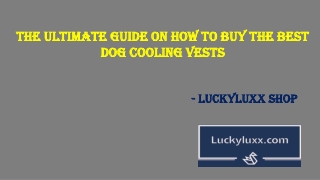 The Ultimate Guide On How To Buy The Best Dog Cooling Vests
